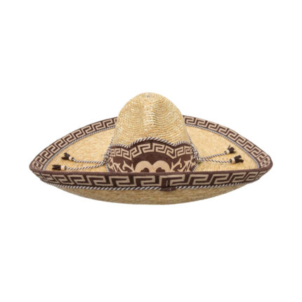 Sombrero Ni?o Charro De Trigo Avelar Galoneado
