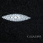 Billetera Hombre Cuadra BC007MA Mantarraya - Imagen 4