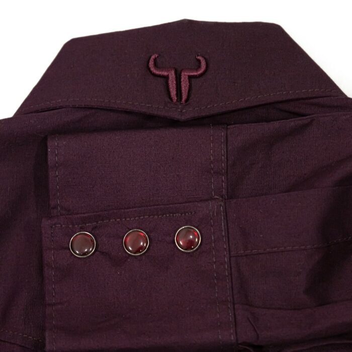 Camisa Hombre TNT 90067 Lisa Strech - Imagen 3