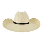 Sombrero Hombre Rocha Chihuahua Doble Telar - Imagen 3