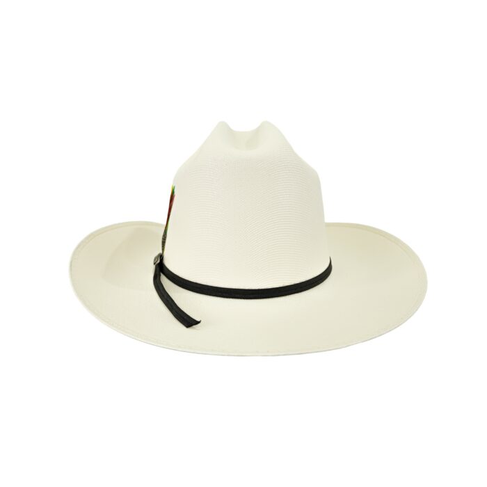 Sombrero Hombre Laredo Carìn Leon 10X Lona - Imagen 3