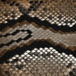 Bolsa Mujer Cuadra BOD1SPH Sevilla - Imagen 5