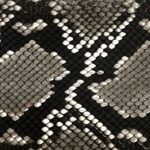 Bolsa Mujer Cuadra BOD1TPH Belly Pithon - Imagen 10