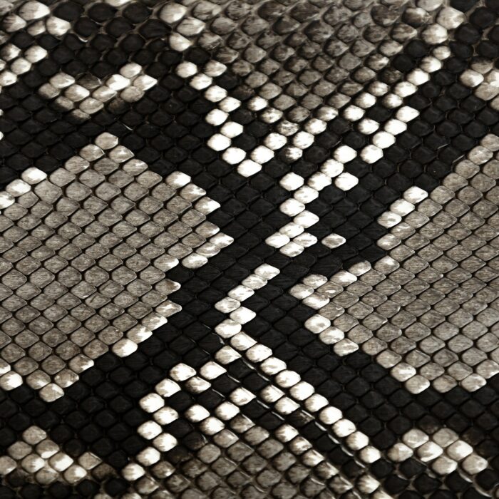 Bolsa Mujer Cuadra BOD1TPH Belly Pithon - Imagen 10