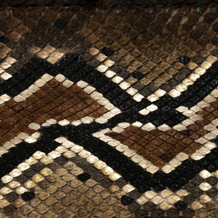 Bolsa Mujer Cuadra BOD1TPH Belly Pithon - Imagen 5