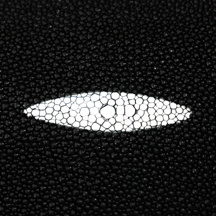 Bolso Hombre Cuadra BOC28MA Mantarraya - Imagen 5