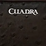 Documentera Hombre Cuadra BOC00A1 Avestruz - Imagen 2