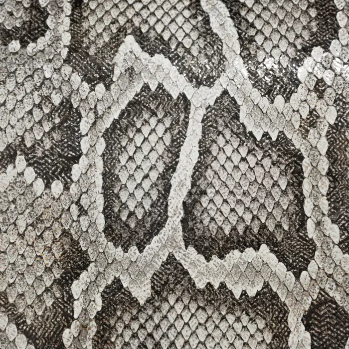 Bolsa Mujer Cuadra BOD31PM Piton M Bel - Imagen 5