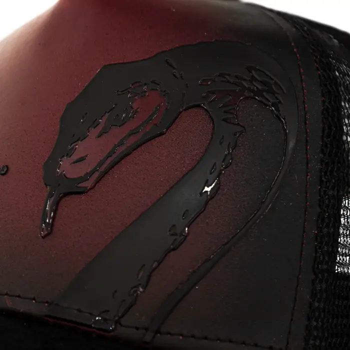 Gorra Hombre Cuadra GOC06PY Estampado Piton - Imagen 4