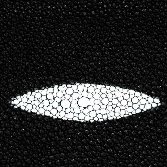 Bolso Hombre Cuadra BOC37MA Mantarraya - Imagen 5