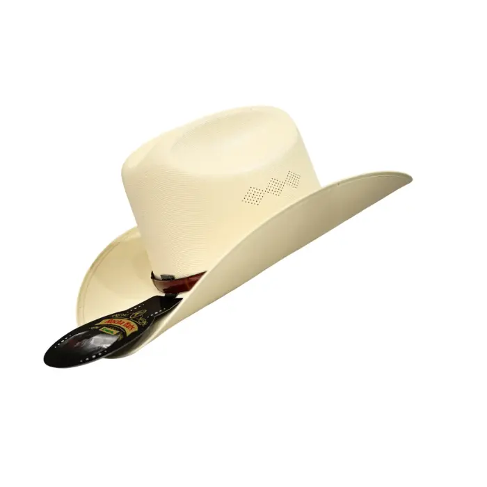 Sombrero Hombre Rocha Rec F8 C/RESO - Imagen 2
