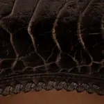 Billetera Hombre Cuadra BC042AP AVESTRUZ - Imagen 4