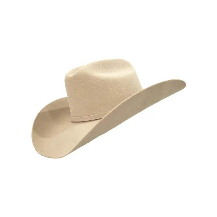 Sombrero Hombre Deldhy Wrangle Lana - Imagen 2