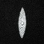 Bolso Hobre Cuadra BOC38MA - Imagen 5