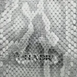 Bolsa Mujer Cuadra BOD4DPM Piton - Imagen 5