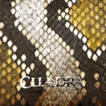 Billetera Mujer Cuadra BD254PH Python - Imagen 4