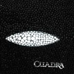 Billetera Hombre Cuadra BC052MA Mantarraya - Imagen 4