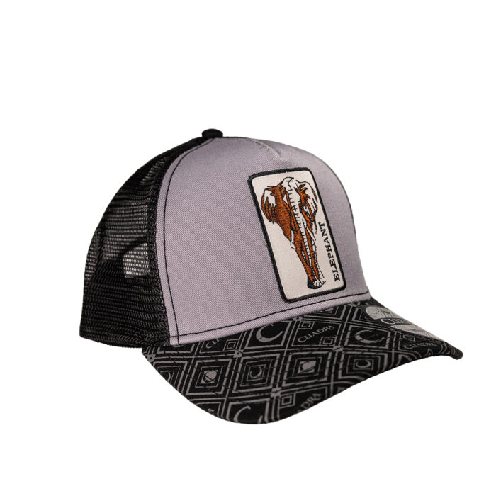 Gorra Hombre Cuadra Elephant - Imagen 2