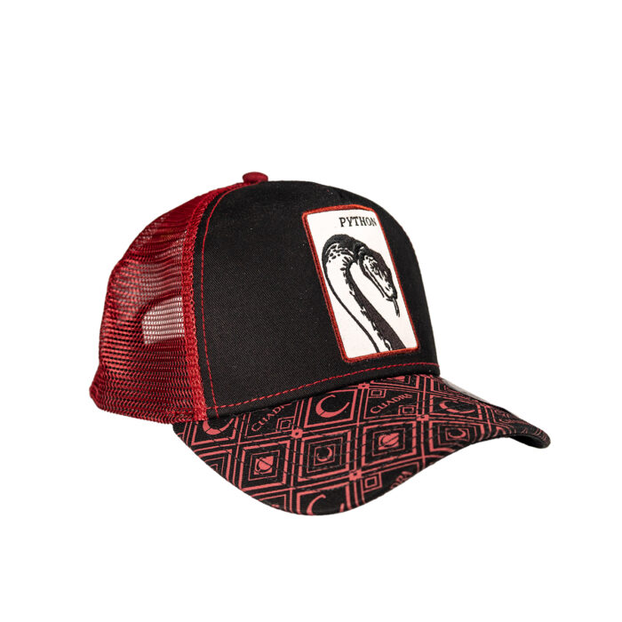 Gorra Hombre Cuadra Python - Imagen 2